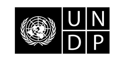UNDP