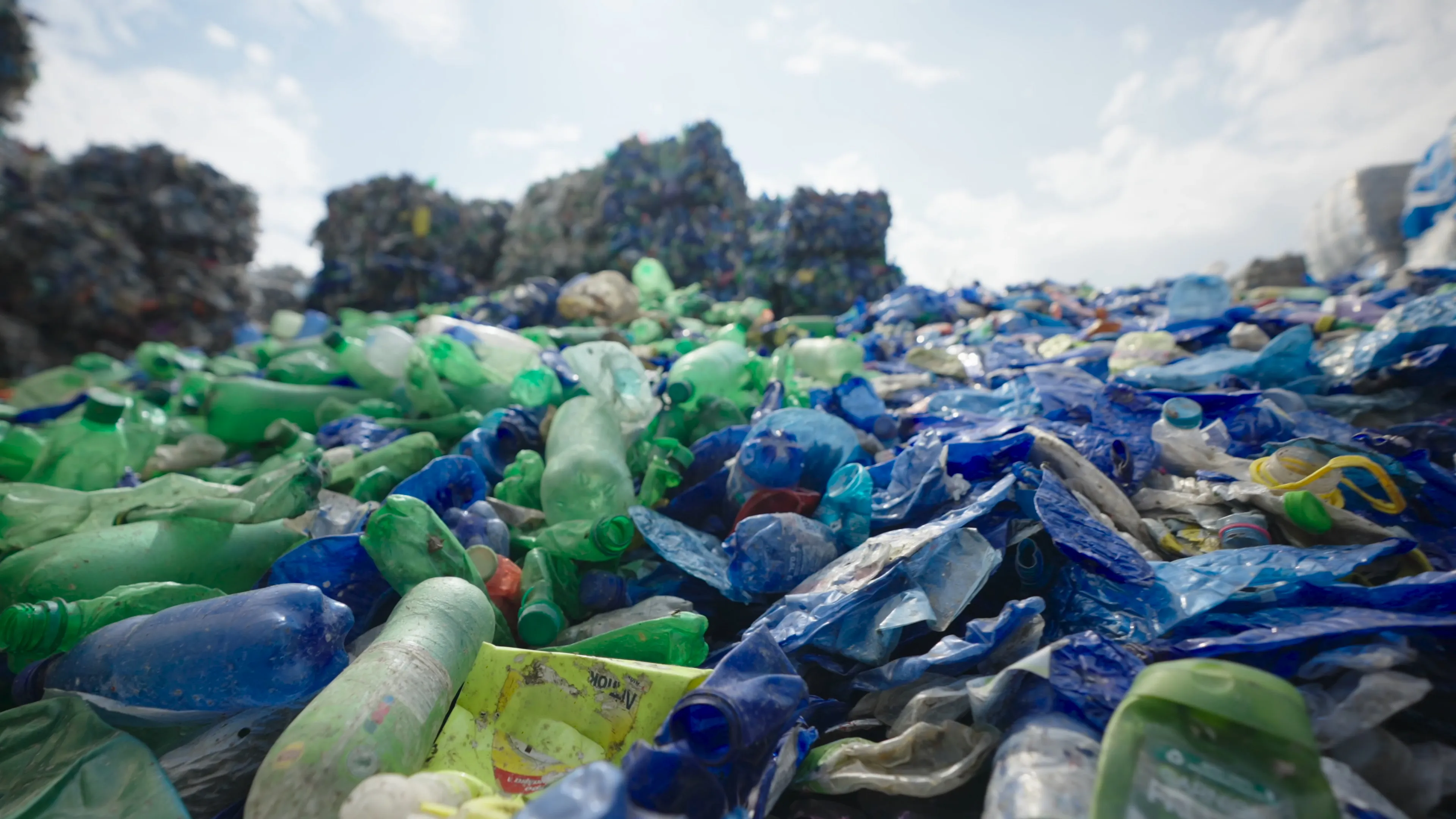 Recovered plastic bottles collected for verified recycling.