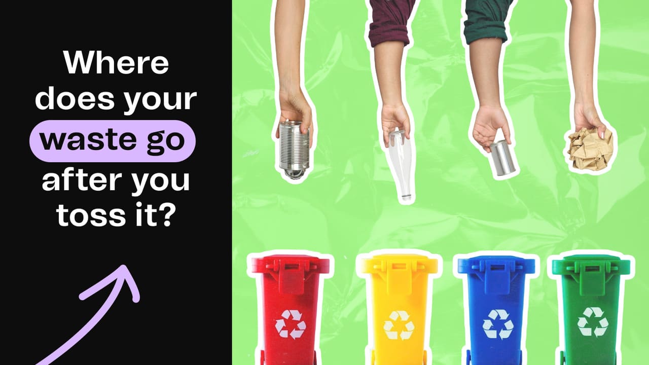 Different Types of Waste Management: A Complete Guide