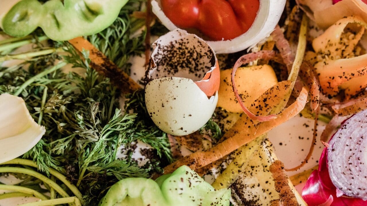 organic waste including coffee, egg shells, peppers, carrots, onion