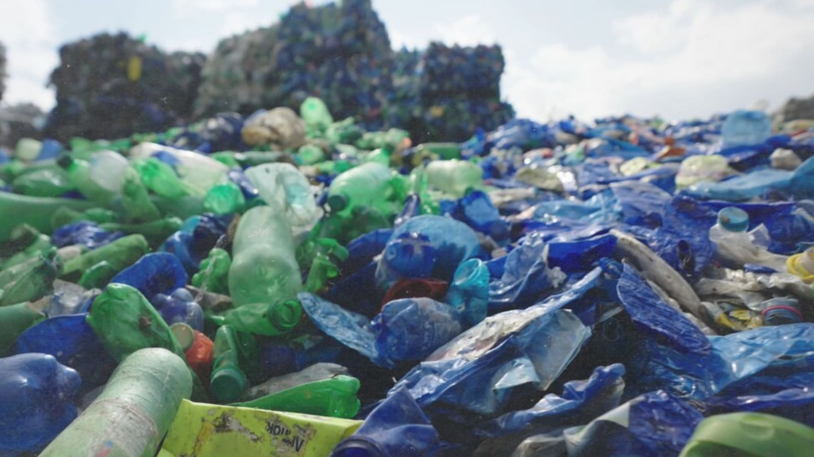 Recyclable waste plastic bottles in a landfill
