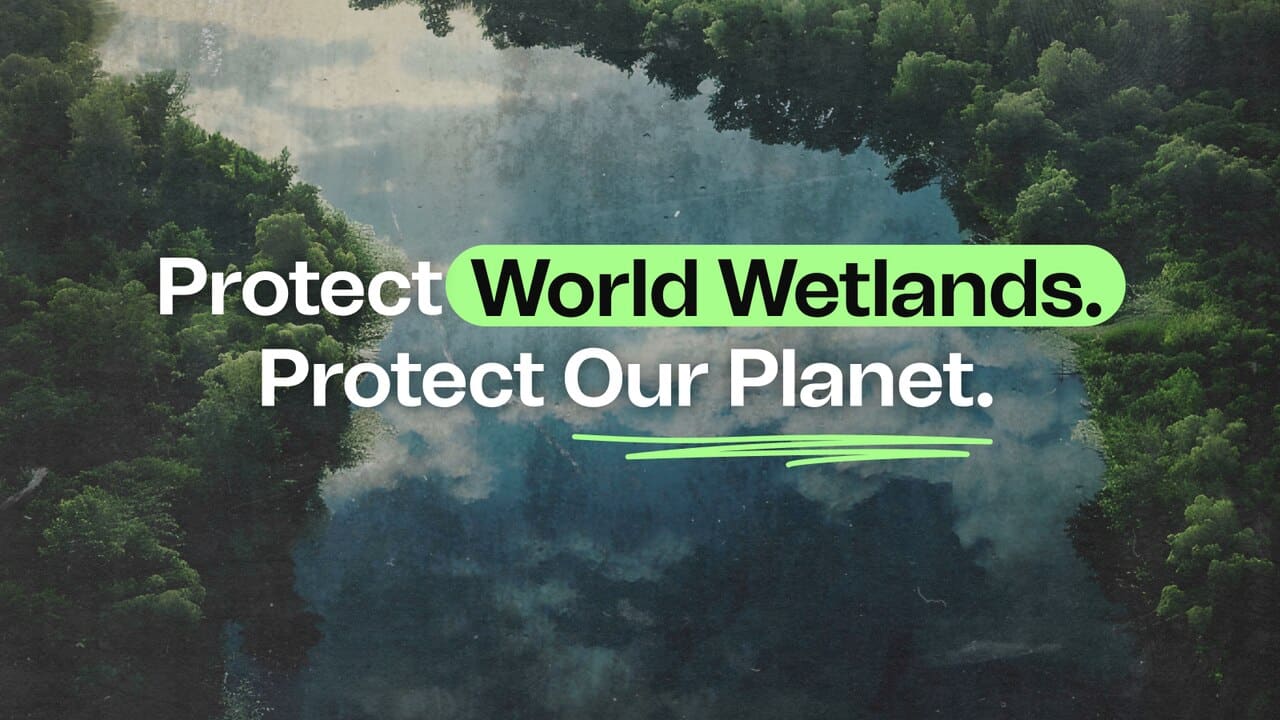 World Wetlands Day: Why They  Matter & How to Protect Them?