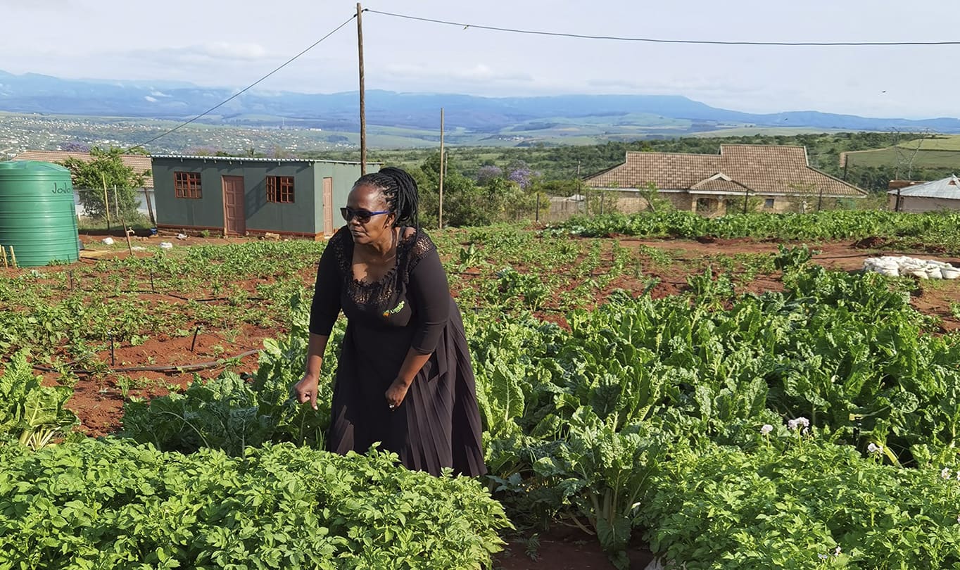Nonhlanhla Joye working in her farm